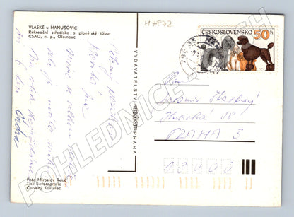 Postcard Vlaske u Hanušovice pioneer camp (M4872)