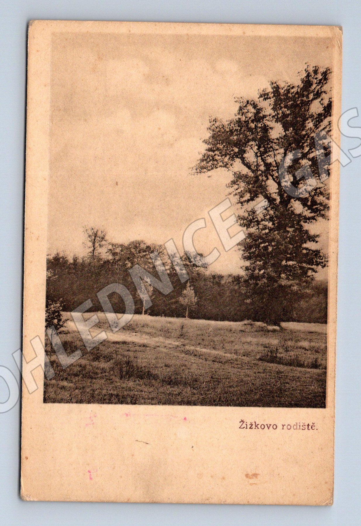 Postcard Trocnov Žižek's birthplace (M4908)