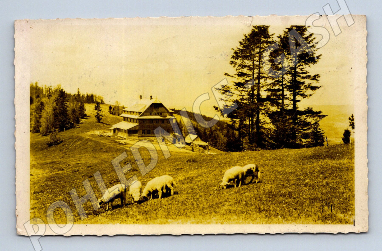 Postcard Javorníky hotel Portáš (M4915)