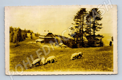 Postcard Javorníky hotel Portáš (M4915)