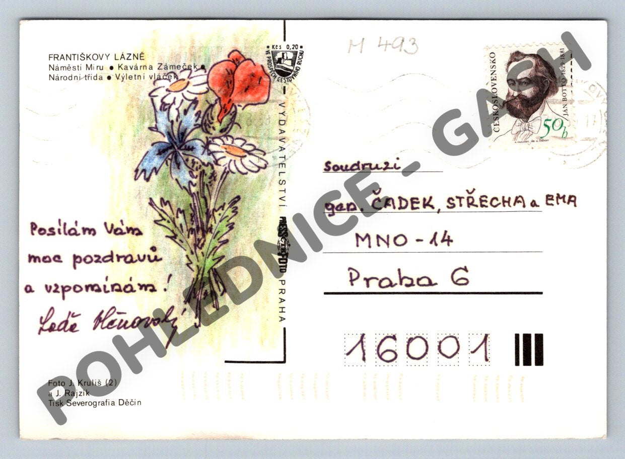 Pohlednice Františkovy Lázně lázeňské město (M493)