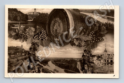 Postcard Mělník winery Labe (M4937)