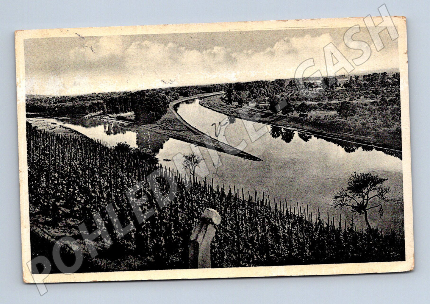 Postcard Mělník, confluence of the Vltava and Elbe rivers (M4971)