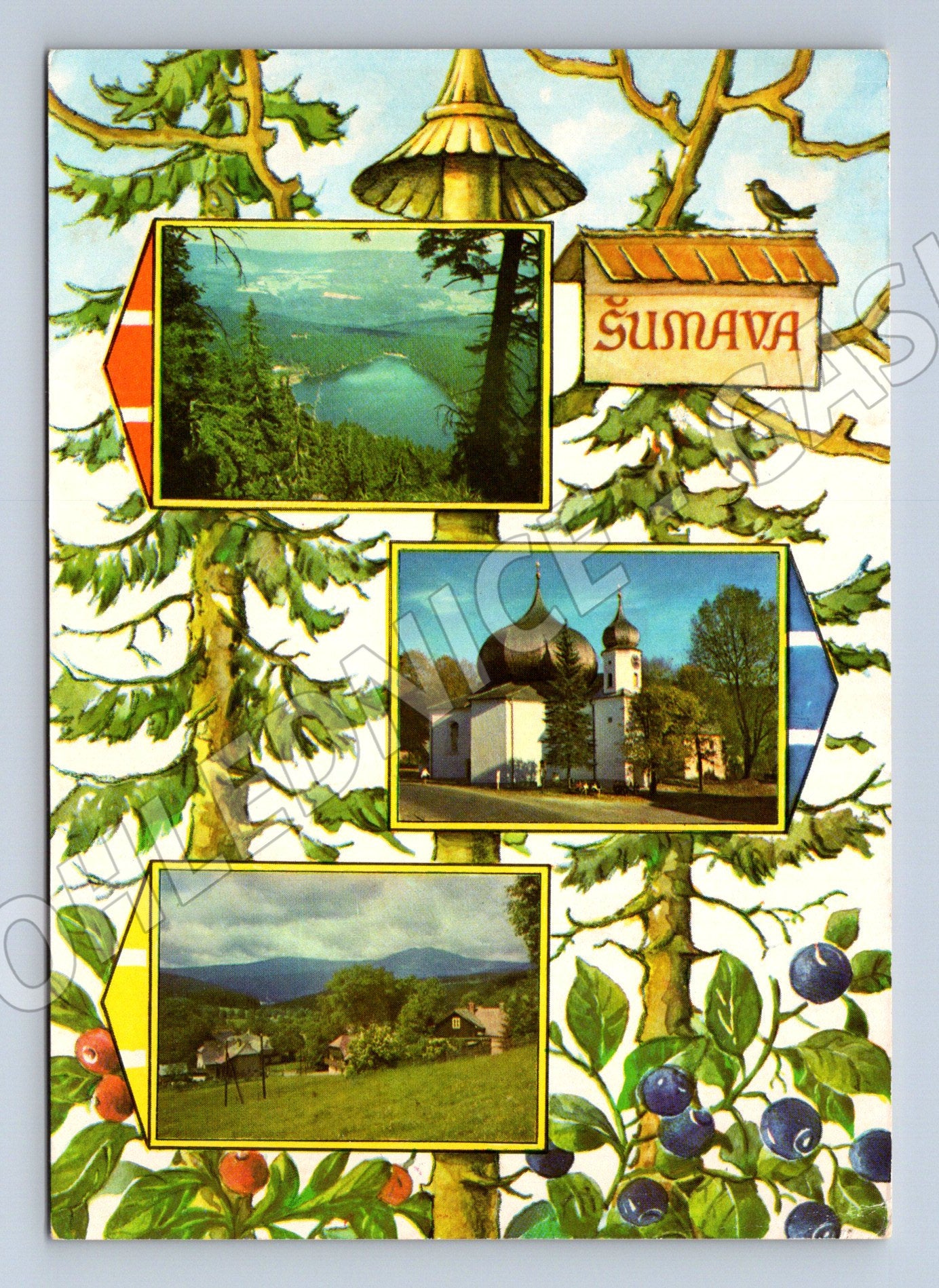 Postcard Šumava Železná Ruda collage (M5041)