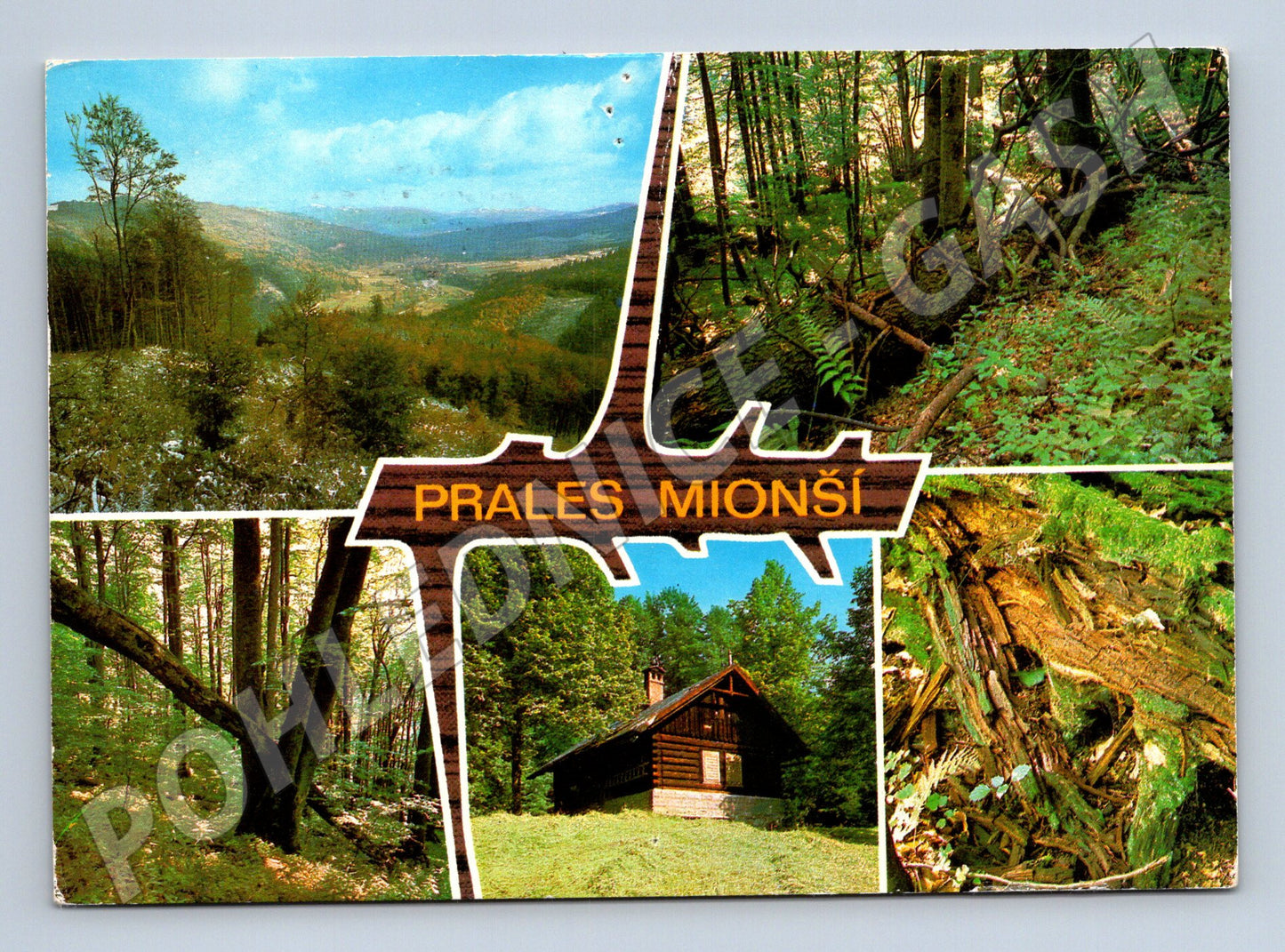 Postcard Mionší Primeval Forest Beskydy (M5054)