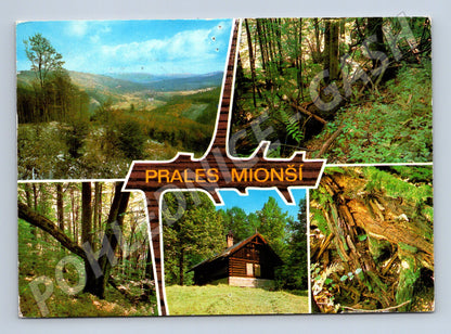 Postcard Mionší Primeval Forest Beskydy (M5054)