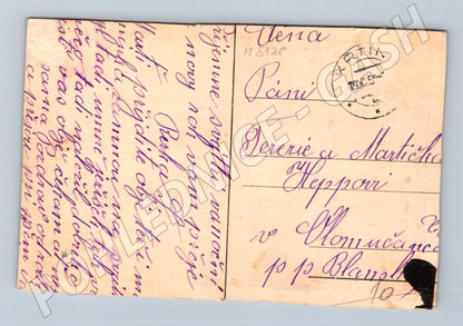 Postcard Bukovinka collage village (M5128)