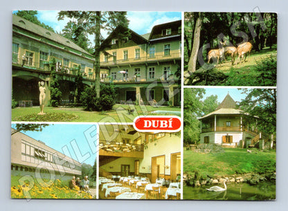 Postcard Dubí State Spa Chateau (M5164)