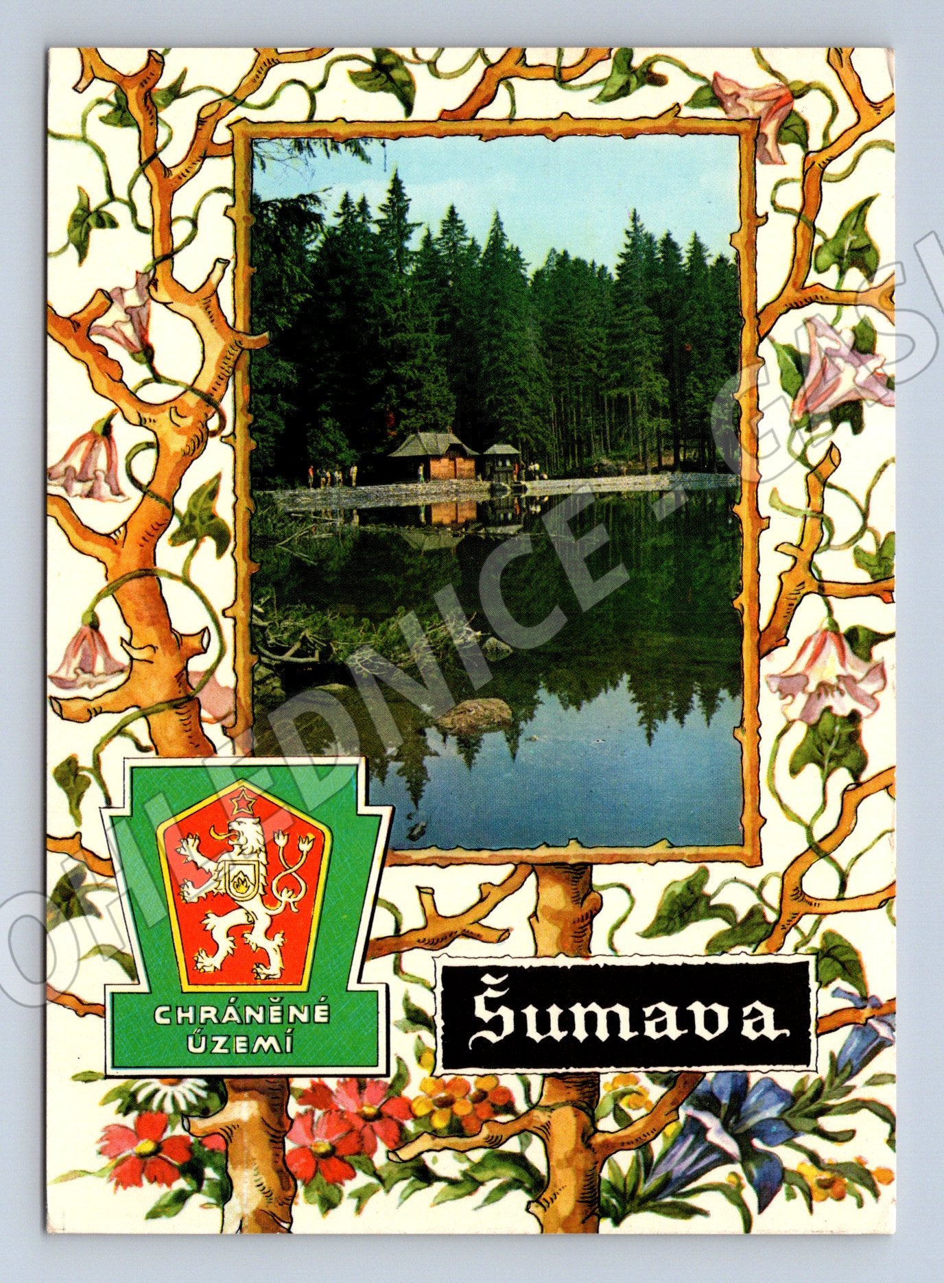 Postcard Železná Ruda Šumava 1974 (M5167)