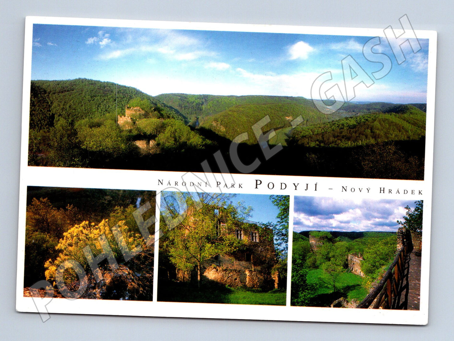 Postcard Podyjí Nový Hrádek ruins (M5212)