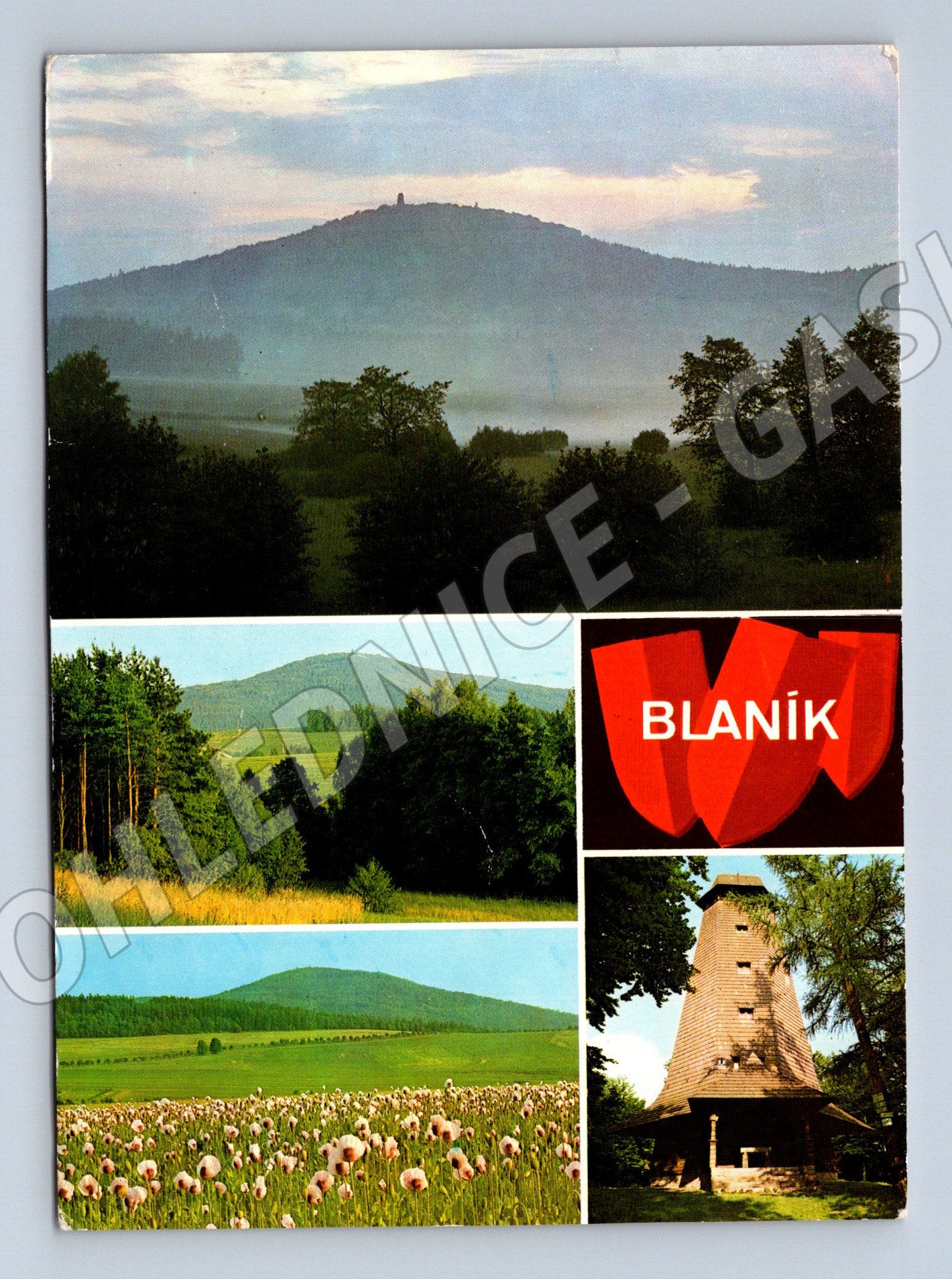 Pohlednice Velký Blaník rozhledna krajina (M5224)