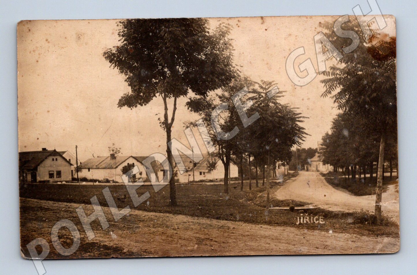 Postcard Jiřice historical small format (M5268)