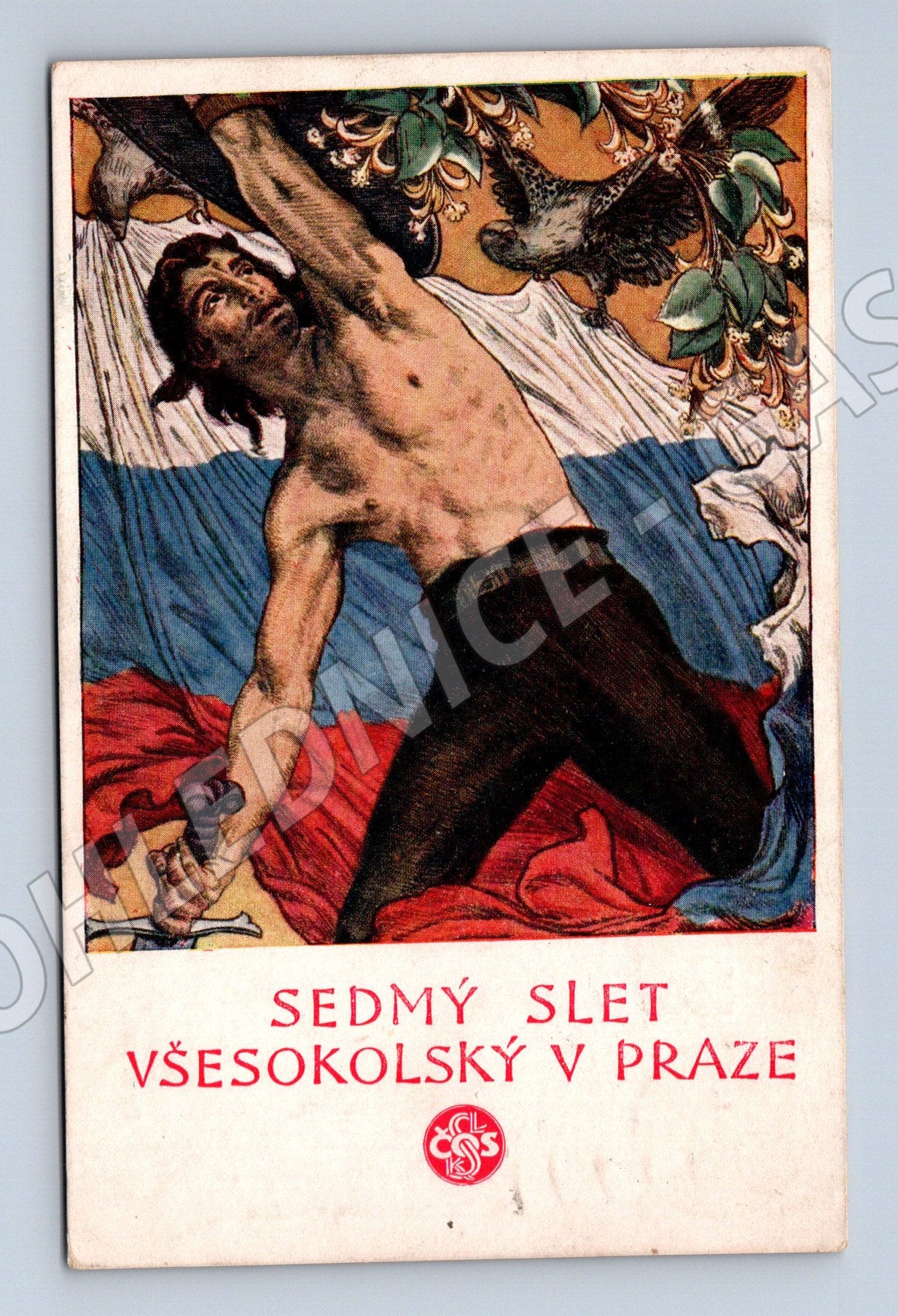 Pohlednice VII slet Praha 1920 frankovaná (M5375)