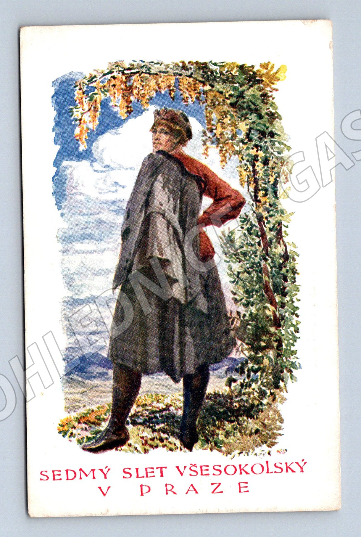 Pohlednice VII slet Praha 1920 Blažka (M5382)