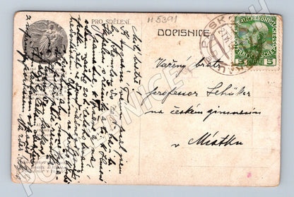 Pohlednice Všesokolský slet Praha 1907 Tužme se (M5391)