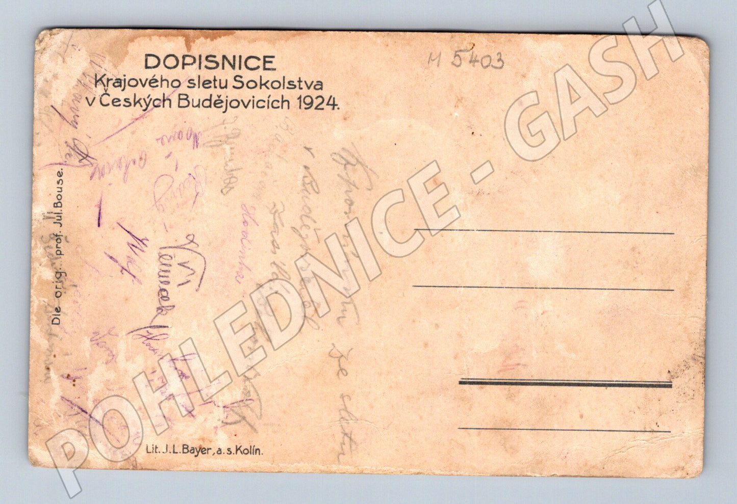 Pohlednice krajový slet ČB 1924 Sokol (M5403)