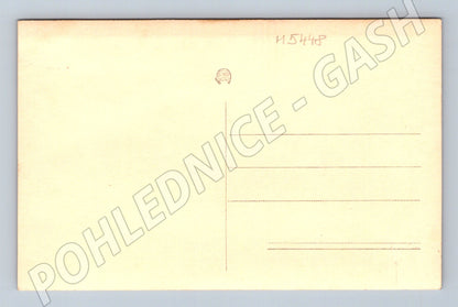 Pohlednice Sokolský slet masová akce ČSR (M5448)