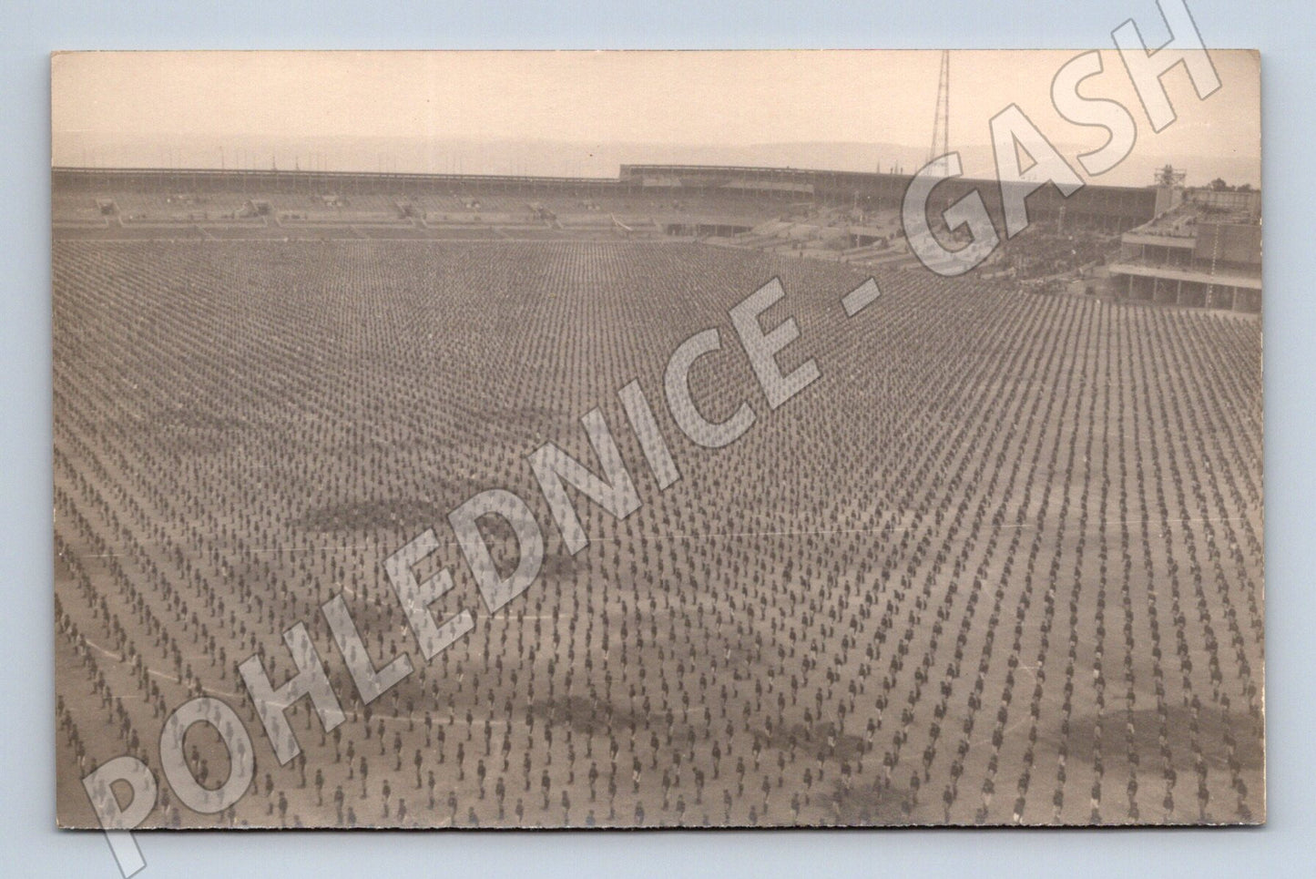 Pohlednice vojenský či společenský sraz Sokol (M5449)