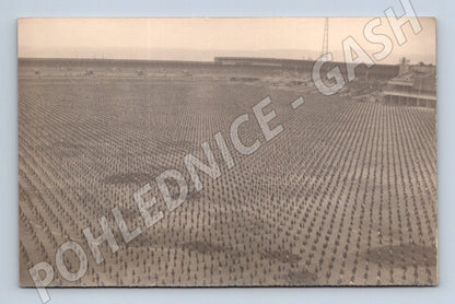 Pohlednice vojenský či společenský sraz Sokol (M5449)