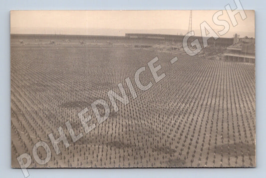 Pohlednice vojenský či společenský sraz Sokol (M5449)