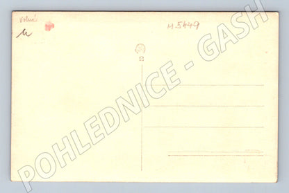 Pohlednice vojenský či společenský sraz Sokol (M5449)