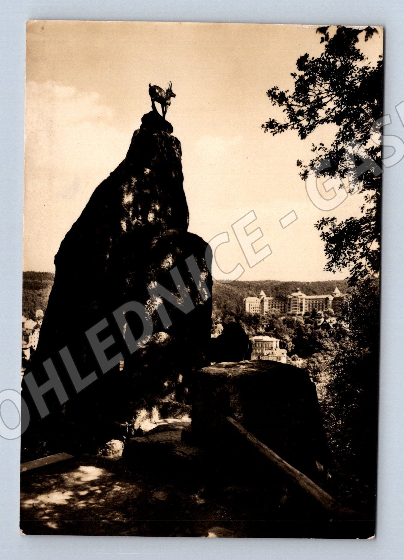 Postcard Karlovy Vary Stag's Jump Imperial historical (M5472)