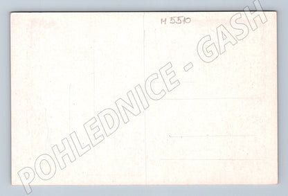 Konstantinovy ​​Lázně black and white historical postcard (M5510)