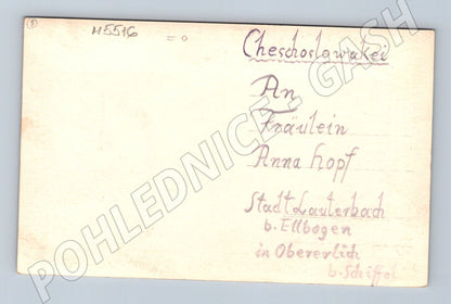 Pohlednice Marienbad panorama města historická (M5516)