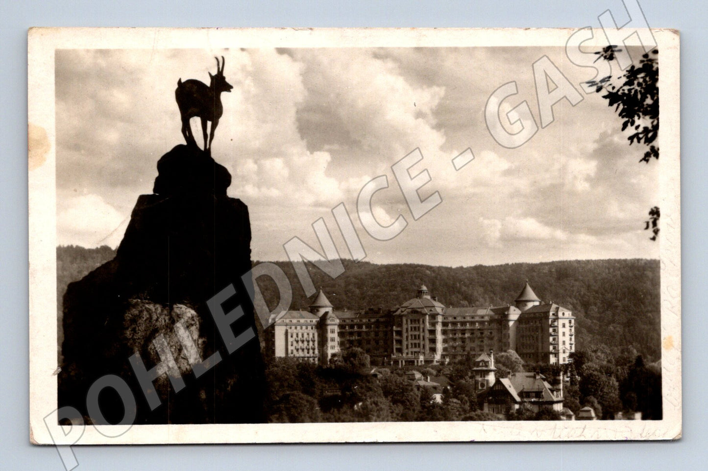 Postcard Karlovy Vary Deer Jump Imperial Sanatorium (M5544)