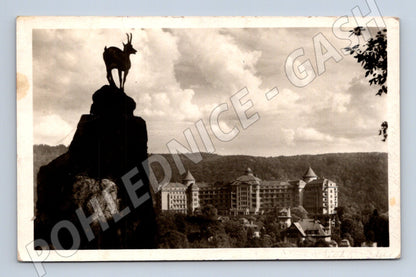 Postcard Karlovy Vary Deer Jump Imperial Sanatorium (M5544)