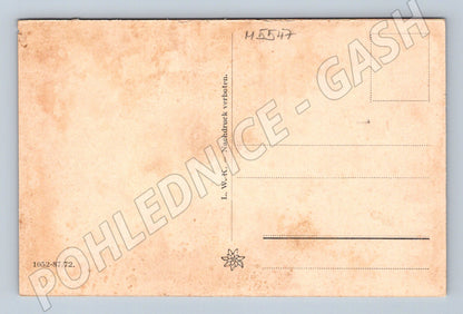 Postcard Karlovy Vary Mill Colonnade Kurhaus Old (M5547)