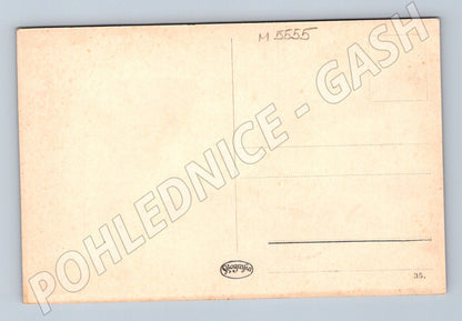 Postcard Karlovy Vary Schlossberg old (M5555)