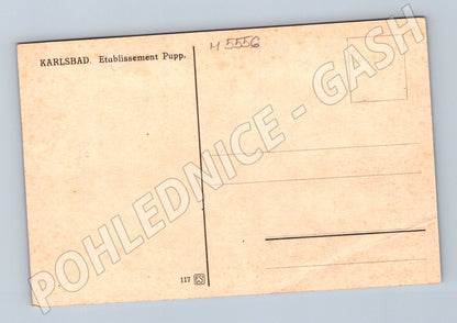 Postcard Karlovy Vary Grandhotel Pupp historical (M5556)