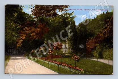Pohlednice Karlovy Vary kavárna Freundschaftssaal kolorovaná (M5578)