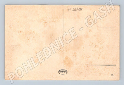 Postcard Karlovy Vary Schlossberg historical (M5596)