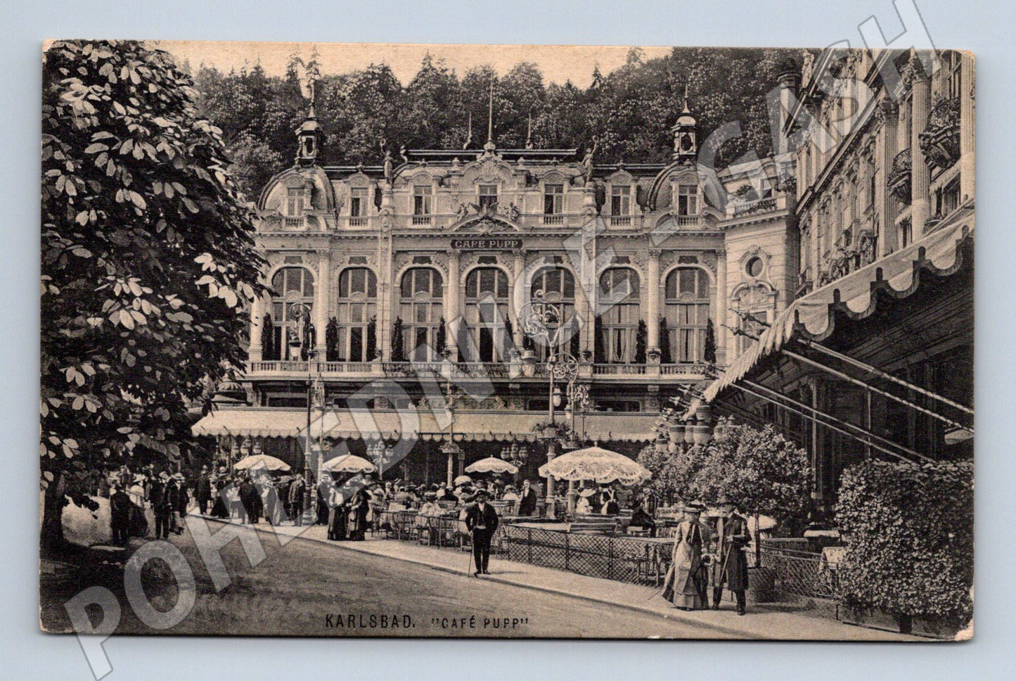 Pohlednice Karlovy Vary Café Pupp historická (M5641)