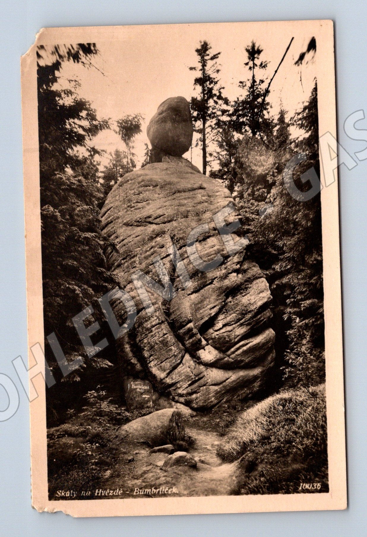 Postcard Rock Mushroom Star Broumovsko (M5657)