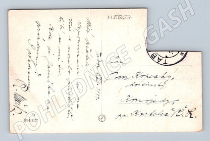 Postcard Tábor historical town hall (M5667)