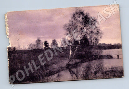Pohlednice Česká krajina starý motiv 1906 (M5674)