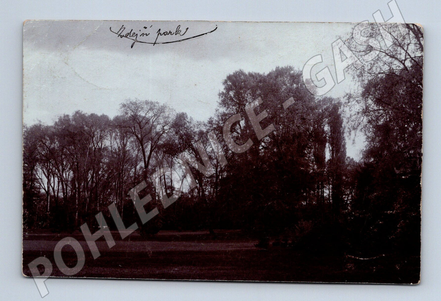 Postcard Cífer Trnava historical park 1907 (M5682)