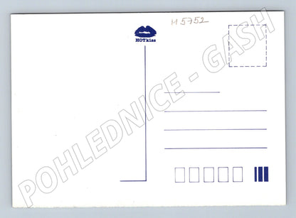 Pohlednice Praha panorama s mosty velký výhled (M5752)