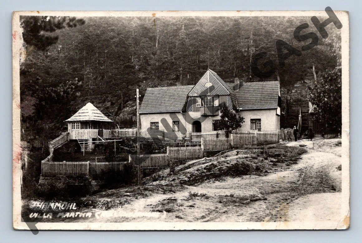 Pohlednice vila Martha Thammuhl u lesa (M585)