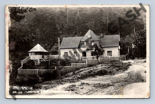Pohlednice vila Martha Thammuhl u lesa (M585)
