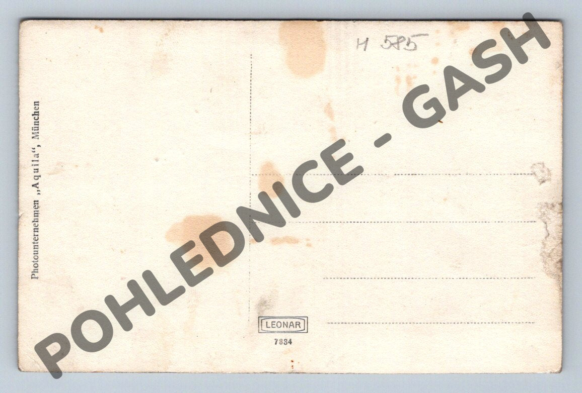 Pohlednice vila Martha Thammuhl u lesa (M585)