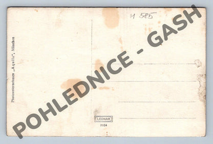 Pohlednice vila Martha Thammuhl u lesa (M585)