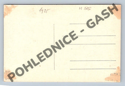 Pohlednice zámek Počátky 1925 (M586)