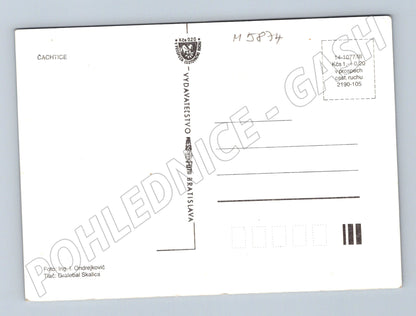 Pohlednice Hrad Čachtice Slovensko (M5874)