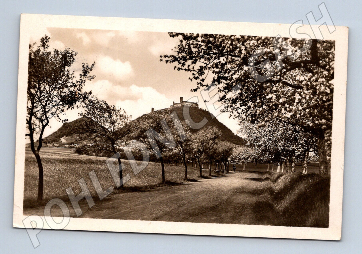 Pohlednice Hrad Bezděz černobílá použitá (M5953)