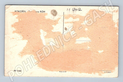 Pohlednice Hrad Kokořín starší černobílá (M6012)