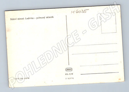 Pohlednice Lednice palmový skleník (M6035)